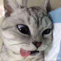 saithip_07