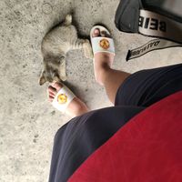 minhduy17035
