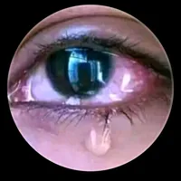 original sound - kadavan3