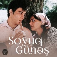 orijinal ses