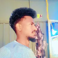 original sound - gon28355