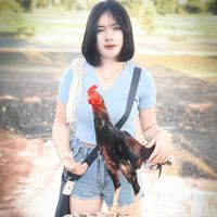 baifern.araya555
