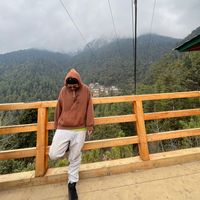 tigerrockbee1