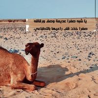 naeaf54