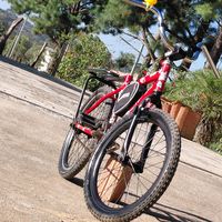 bike_de_vitorzin