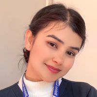 dhamipramila