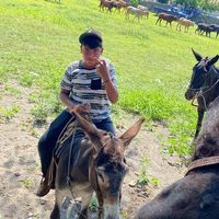 iker22478
