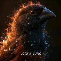 joelisson17
