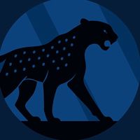 cheetah.63c