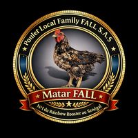 pouletlocalfamilyfall.sa