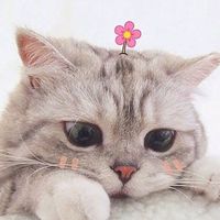 oneday_with.me