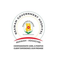 nsawam.government