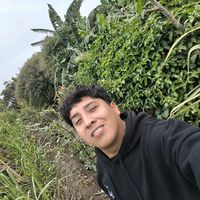 sonido original