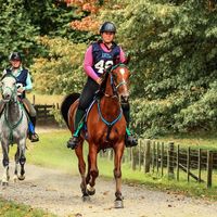 kiwi_endurance