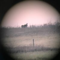 306_sask_outdoors