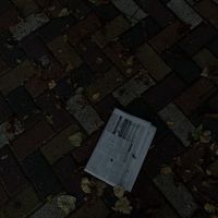 usernametanggg
