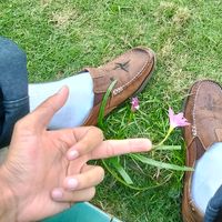 suara asli - Mrdohrmwn🧌