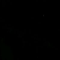 mahmut_can80
