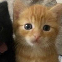 cupsize x целую тебя