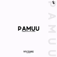 original sound - pamuu______