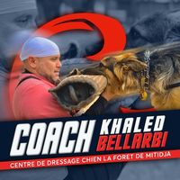 khaledbellarbidresseur