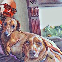 wearethekardachshunds
