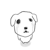 오리지널 사운드 - Yuki