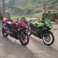 suara asli - Independent01