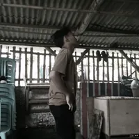 original sound - upin.12310