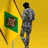 fada____bour0