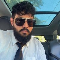 william_davincci