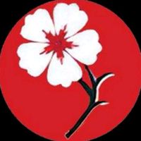 aung.thu.phyo7775