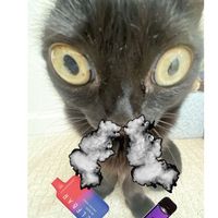 nhạc nền - 💨V â n A n h💤