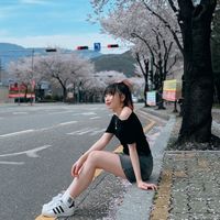 noy_12300