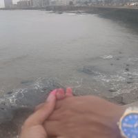 moreno_ma4