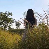 suara asli - 楊美利