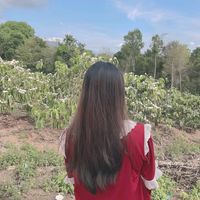 nhạc nền - 🌺Lệ💞