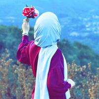 noorsy8179