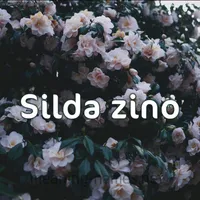 original sound - silda_zino