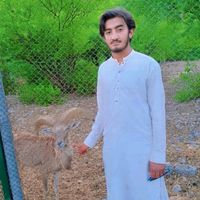 kohat163