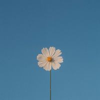 tiny_corner96