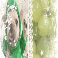 filipe_piloni