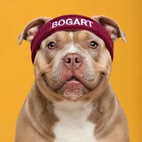 original sound - bogarttheseller