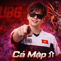 nhạc nền - 🦈CáᅠMập个🦈