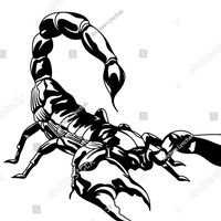 novembeir16.scorpion