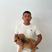 original sound - DOMZ512 GAMEFARM