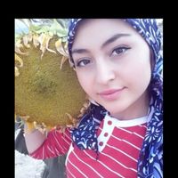 fatmsenel