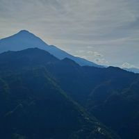 pzastrid
