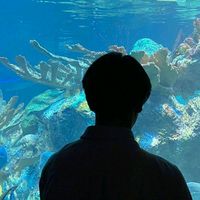 original sound - Jong Hyun