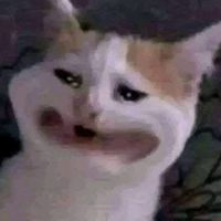 hhdbdpfaq32
